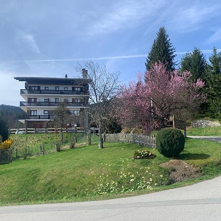 Appartement T2 Pour 6 Personnes A Combloux Eksteriør billede
